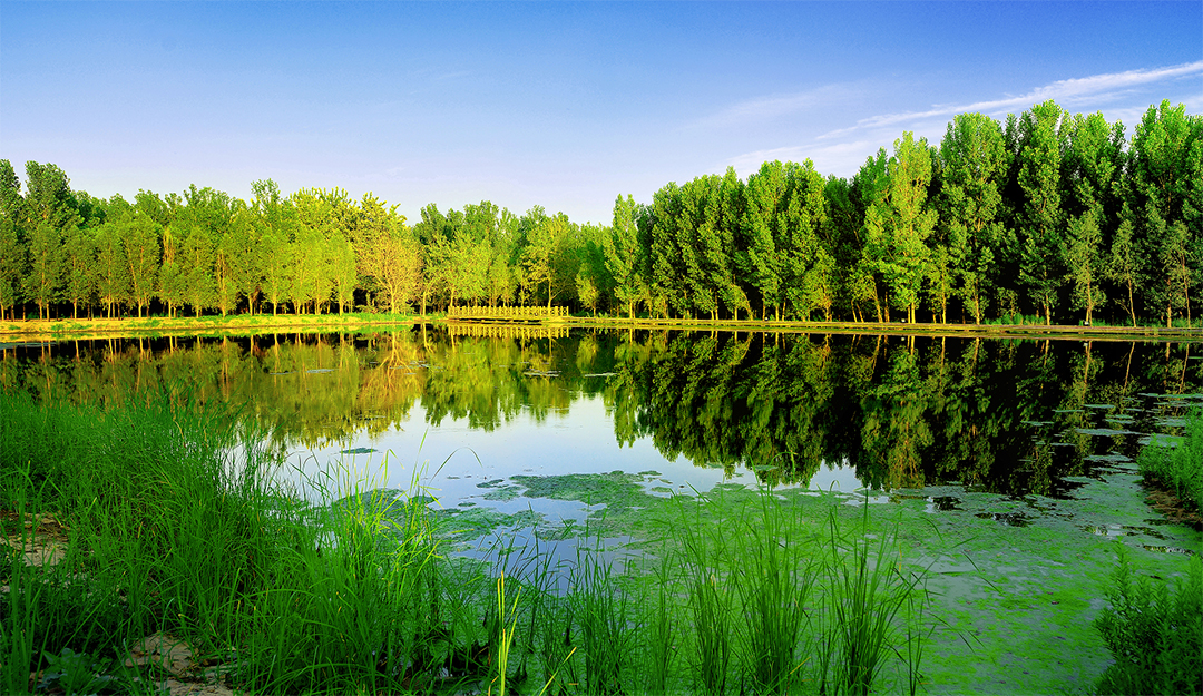 q2Q8o1MQpi2bSkcVbZlZKIsBW6bs4esyItkbzk1t