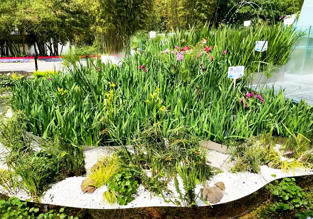 QPj3eLMxb9AaoTTCjkeUVihYPf2mQVmFdvKkP6Lh