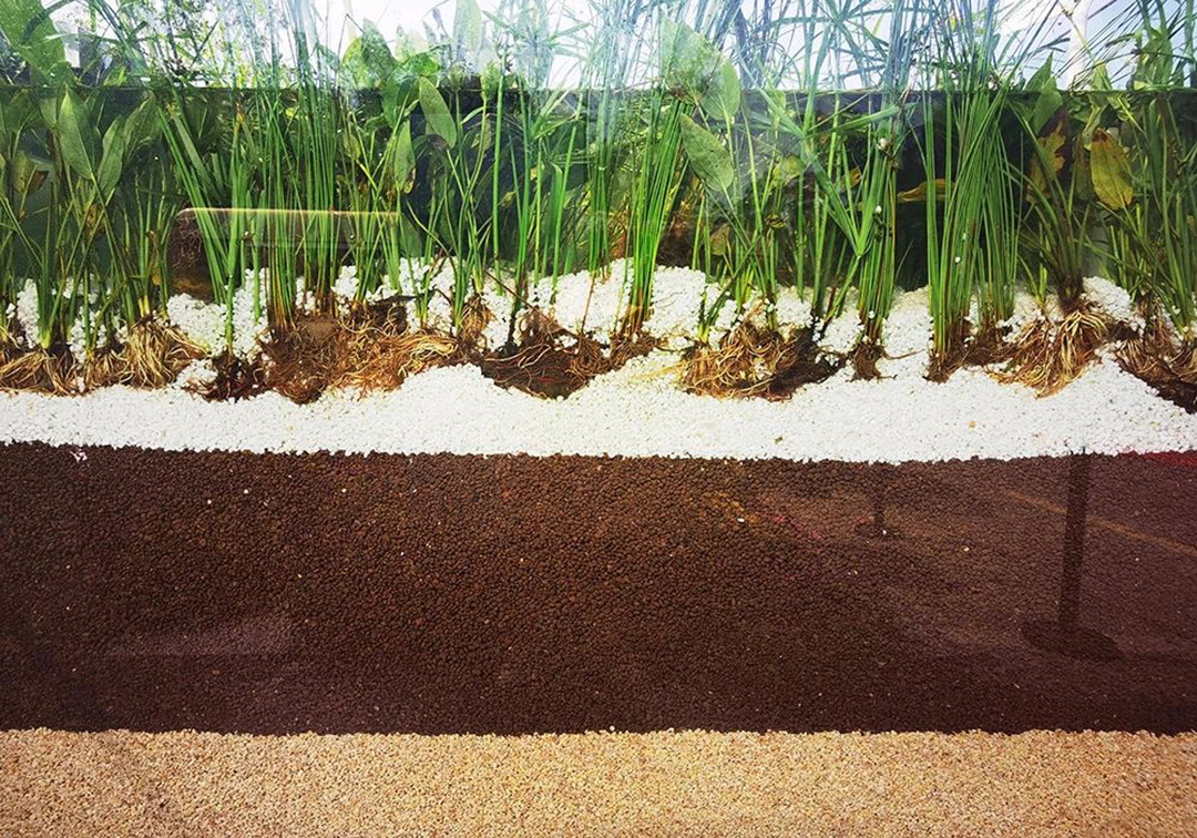 fzEV9NEbj89Cvazom7JDyS9FBl9LEVVYVmqDisNe