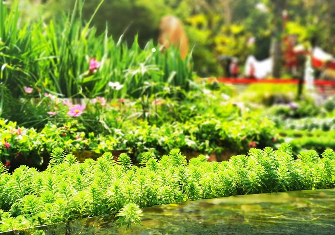 oZASOeSJM60MlCEWC3UYADOMcvhLjdP0ERfoIomN