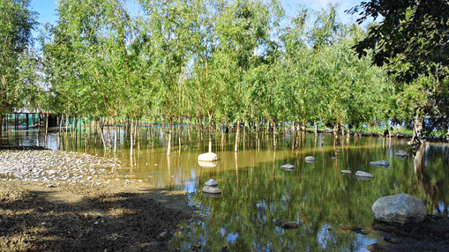 WJuiUO1pTAreimcnLeAsQyevi6rCGKJL4YoxV2KC