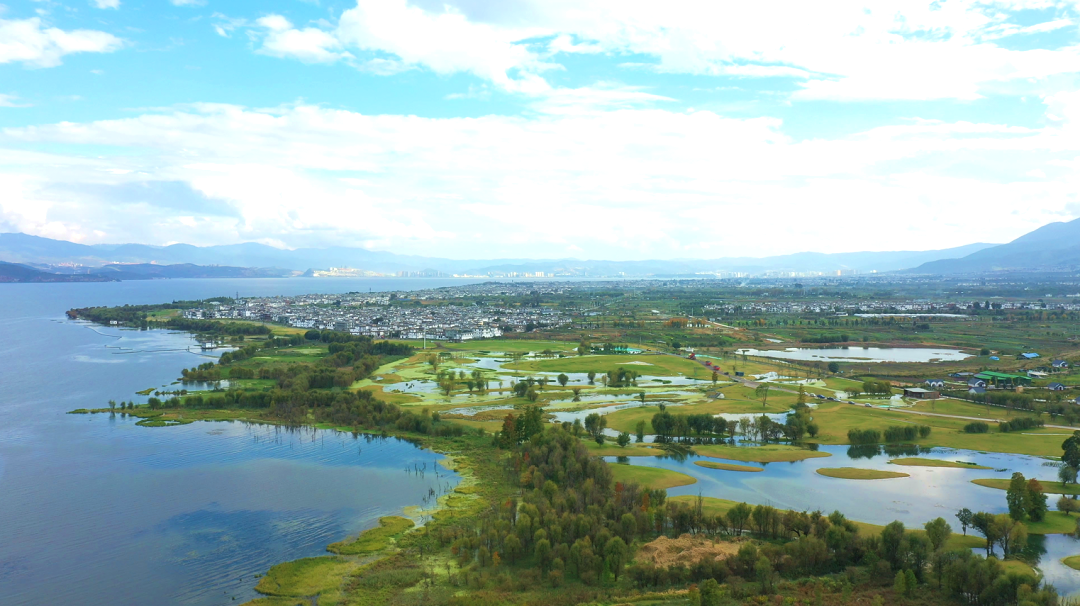 OPYUHP5cZKjNvURKf1o4diut6H8jnsqQ3NVE1ApI