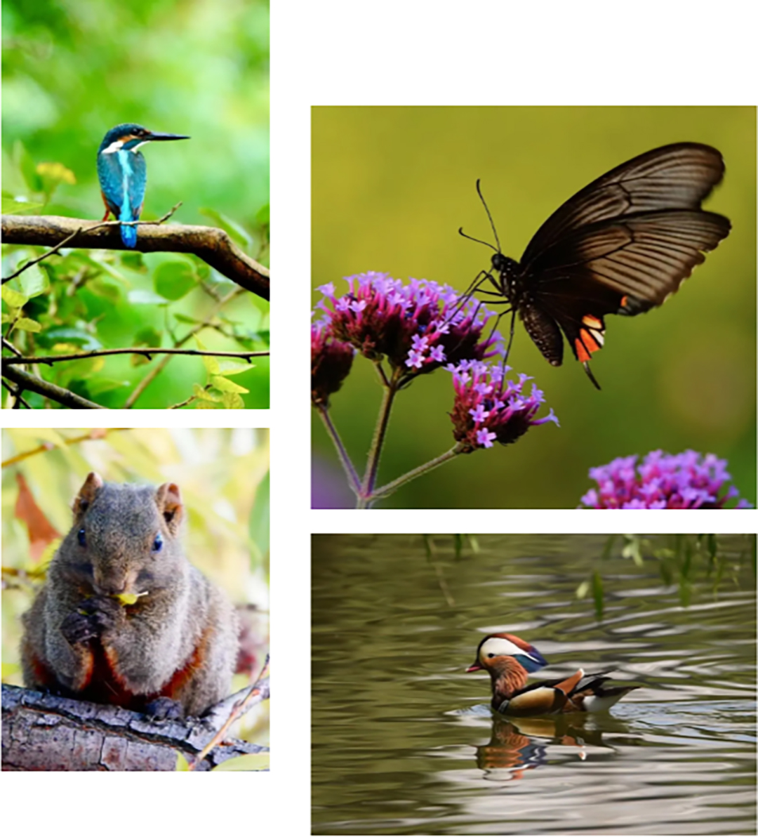 W9RIFgoOWZHoiyOGWrX1dpUT5rvcM17fqnJbfeMX