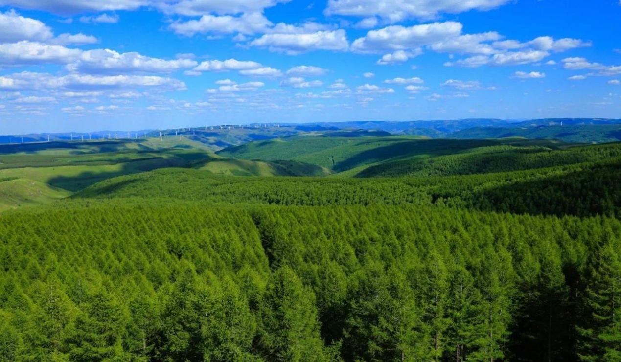 X7HgE1F5xUYrlDgTOtXI0NAPoOHFf1X85GJrsFq6