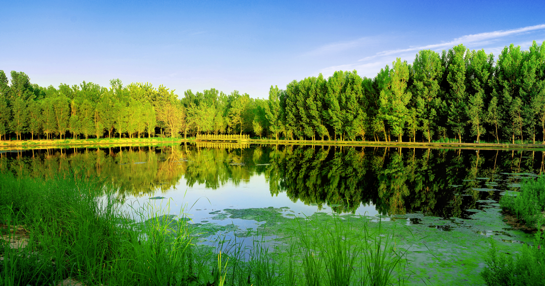 hYZA2PG4EqjngSIj1BV7dXqgGmIB2nakXRJHB3tL