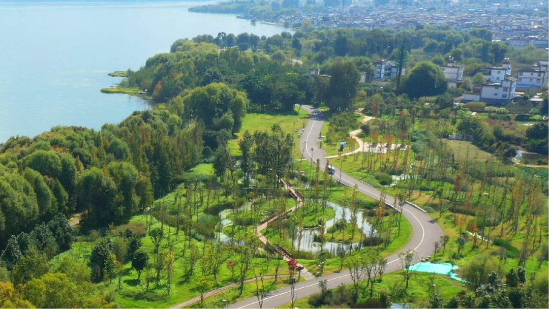 rpwTuFbZ00zZFFDWFT6AjWVaIo8w1kpeM7h1Kjm0