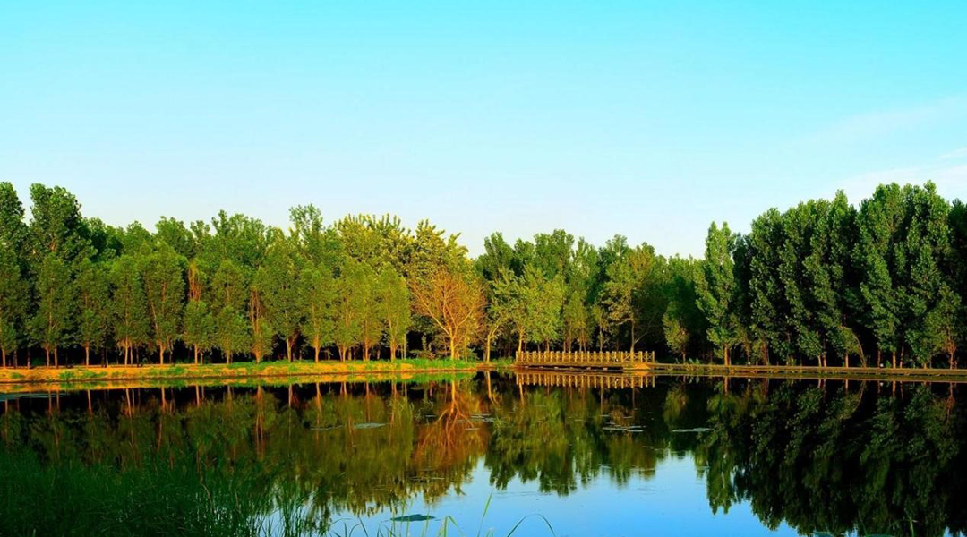 cpuUNmWl5Cie37UJn4J3Zx9yM1clkiV3VnNW7VuS