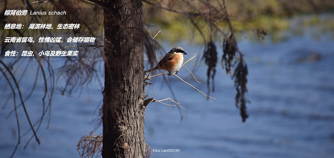 1BnBWiyLeDAxfdDlw3cwBYR4Kr26nAQt2lRSPrUF