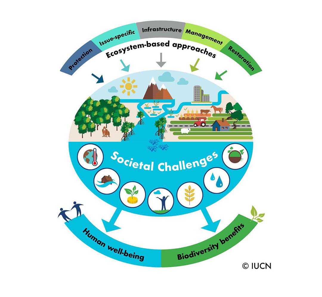 63VdO4lqeEv8wI7805kW1LW5Pz2gYVv5ImgbFQX8