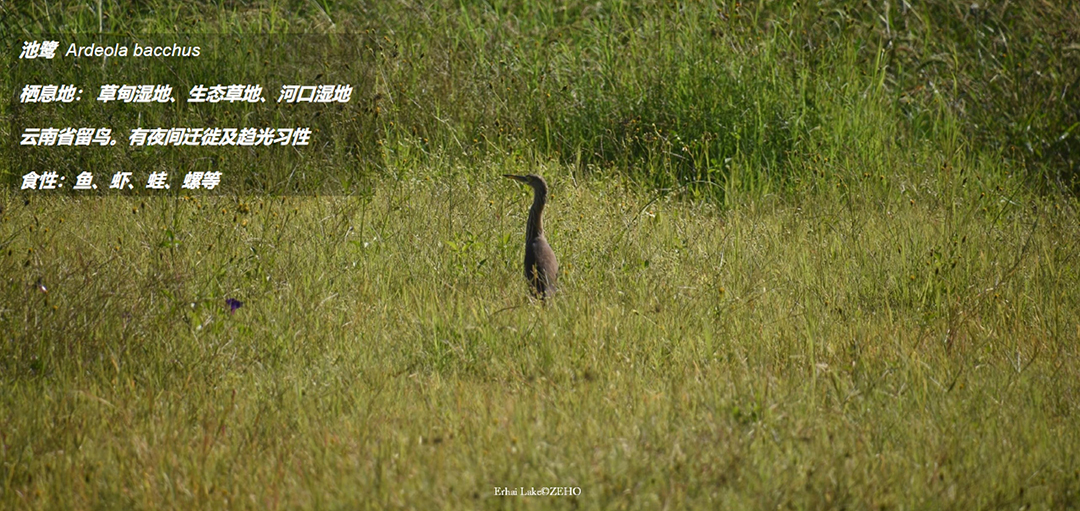 TuhIMmaeNpLjLFbuB8FMscAU04lzqLVoba8QG5Fc