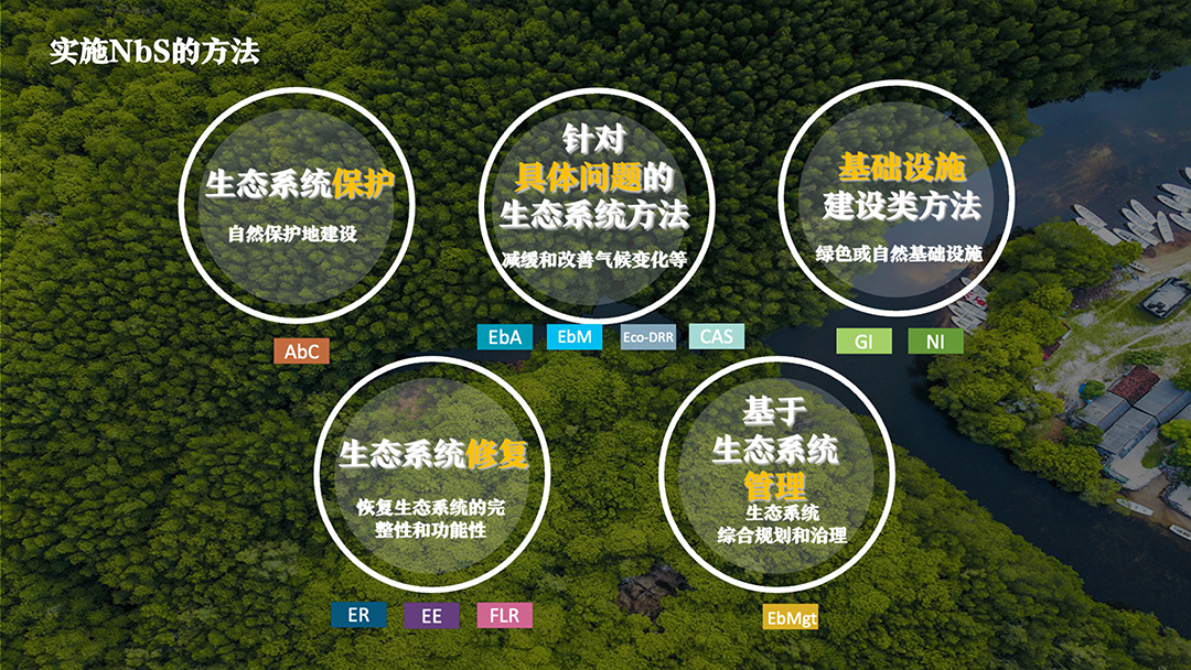 dCy169202h3Z8pkCGfF7HOlSRRKvDxcWPnAF7wow