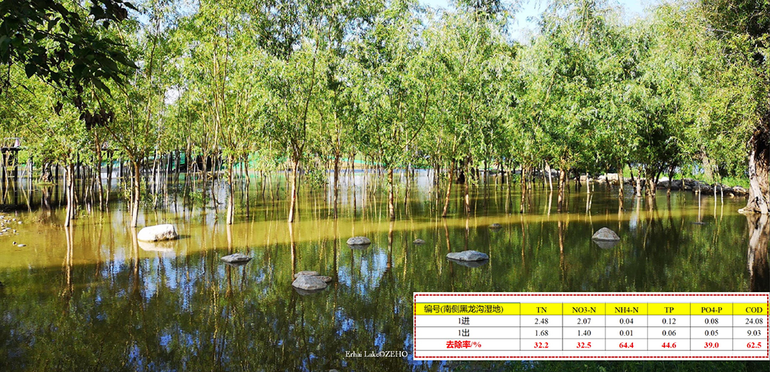 szT2m84T1jzMhWhATJye2MgsTcLnP5cajQRf8NBQ