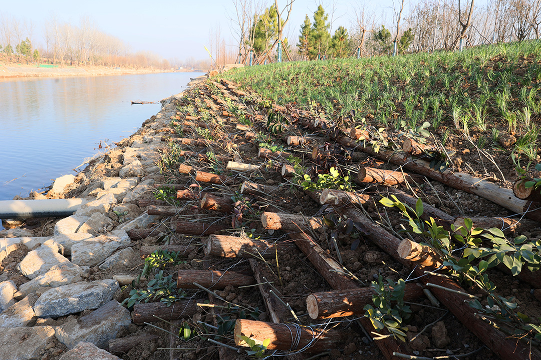 2QZXcsAfhdsfNTuwpMafe1rntP1LoToD8JbkWbiv