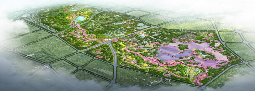 ipfufY2MazRAFYyn5C8kR9zsmuTKHVZLM1kMzYa6