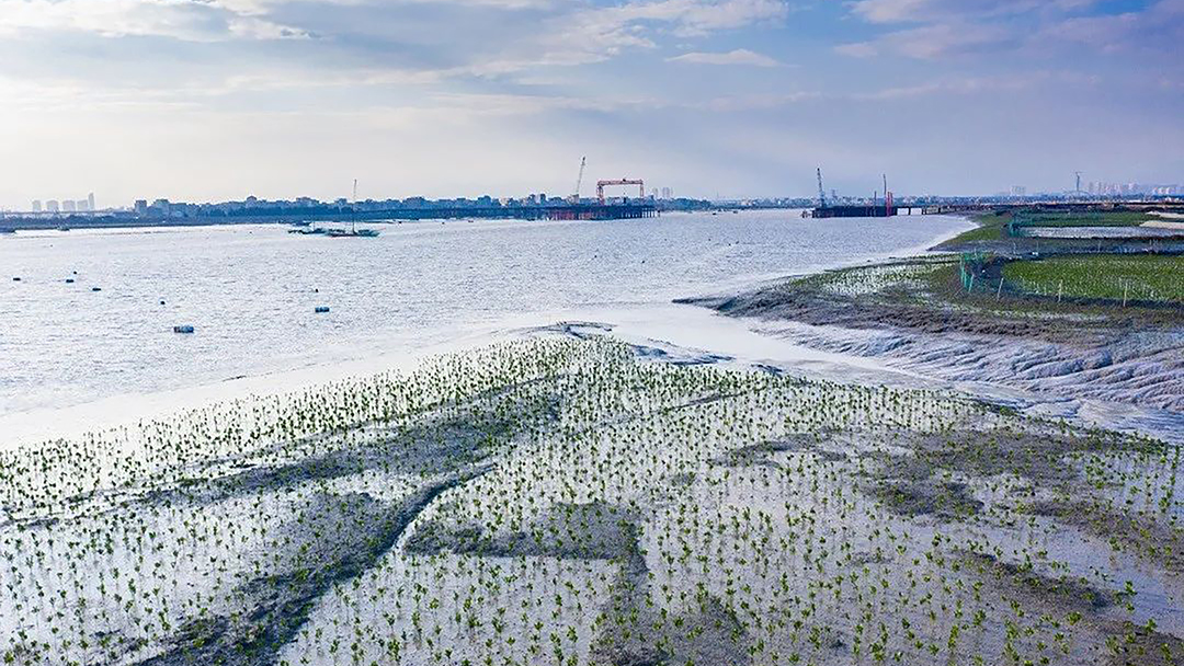 XZ6zsAX1UdcwR0rBOPTs3ptvCWl4D6JQZrTtiZoN