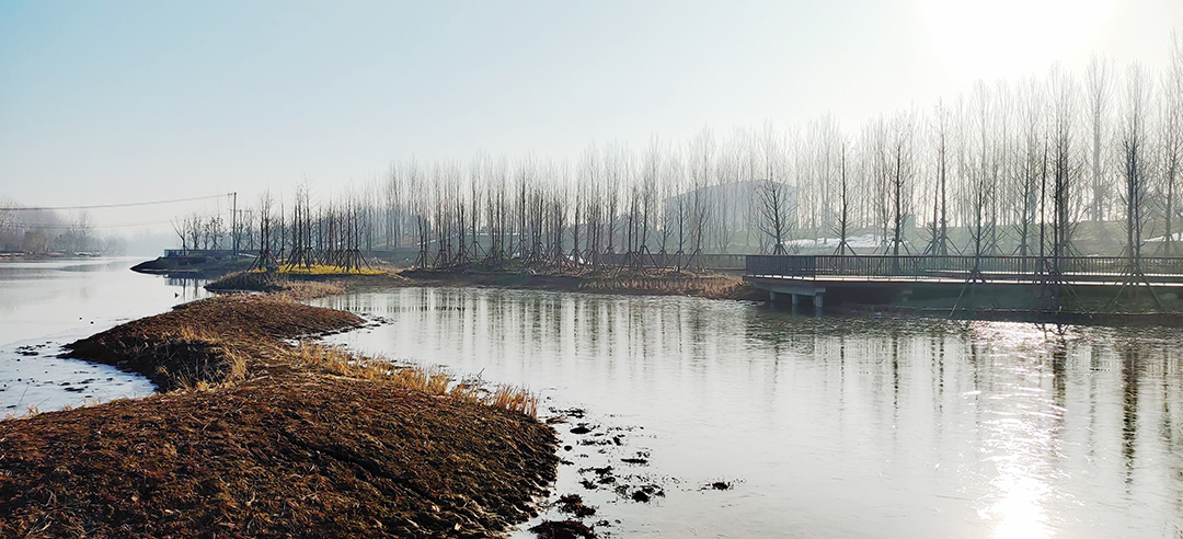 pNficG0n98ArmHIqmsvPWDbeP9UroKhSLSFVeEPF