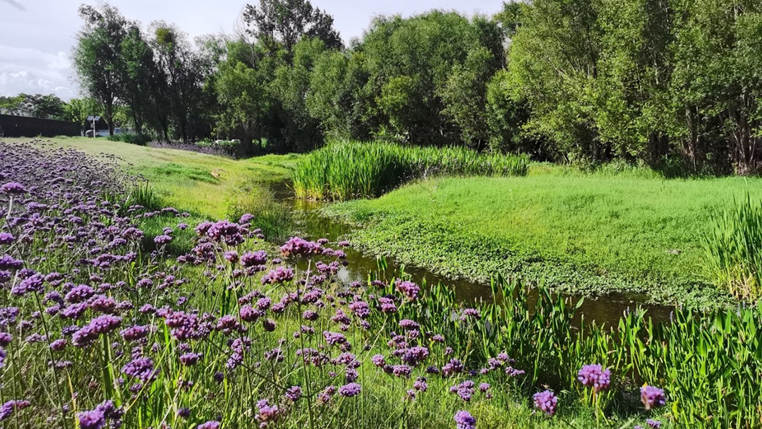 eSlQBK81QxlKj2eP22RSAPMb1bNkJWGLWQJjY9gg