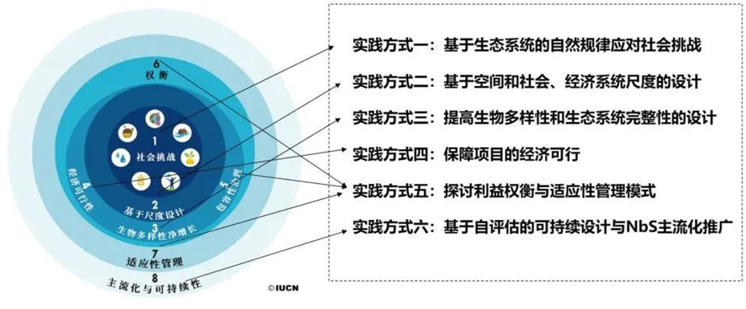 riWOo9i9OPWN8TTqzzJAgDY7yBS4n17JxdQr6ONg