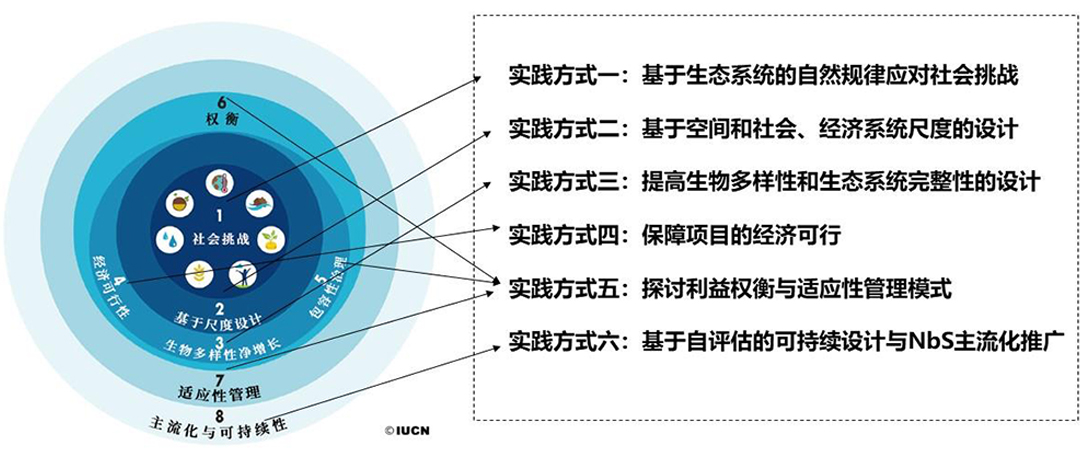 1MPuaL5pcc65avn8AiSXzPGy88SPneWe0qjc4kH4