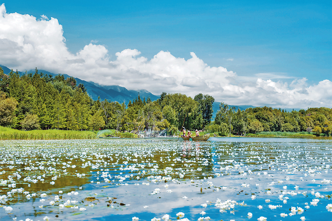 k2x8VFSqQQXs3jfsuph4stFAwF4gAAT4zWu3oDuo