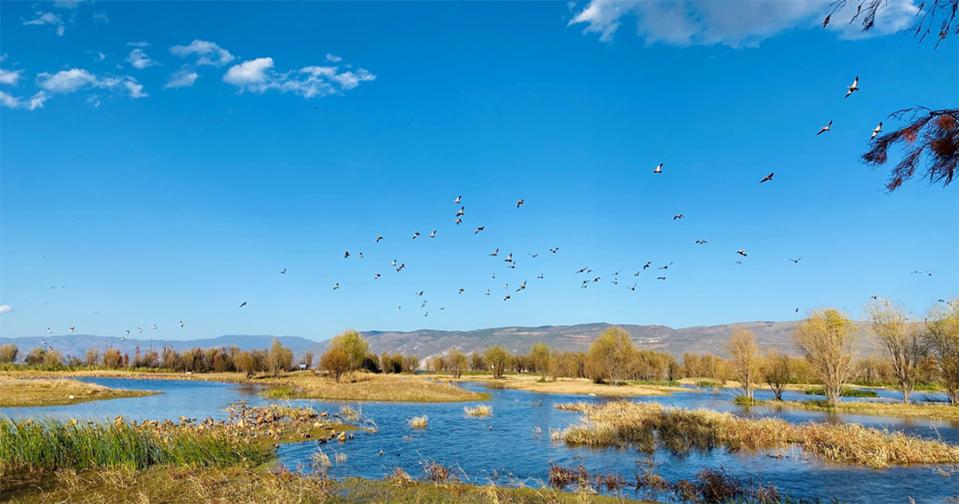 lsyBaeKHIM905Xu9CxyXDOeczxXoSVG6FWtUizXz