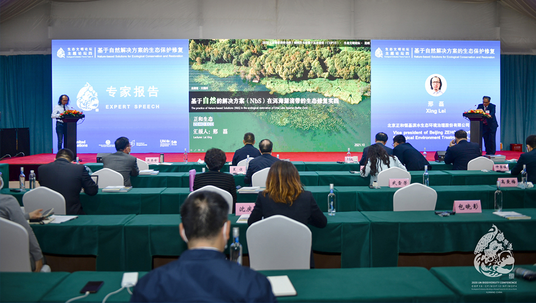 lv2a5bl4dR4qheLHBRwEOtP6eFX3HtMSIU0tqiX9