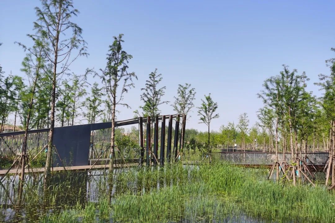 X8i6SEHzgbDeQEbKCpGd349la5NXxeiS98pPfMpM