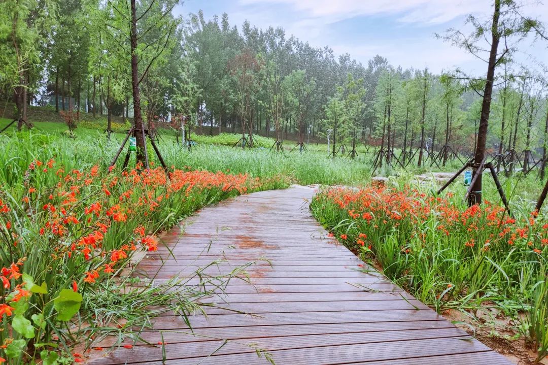 2QEqj8C9qUGguD8AbRJLYjtoRsvlAhPDRfDKCBob