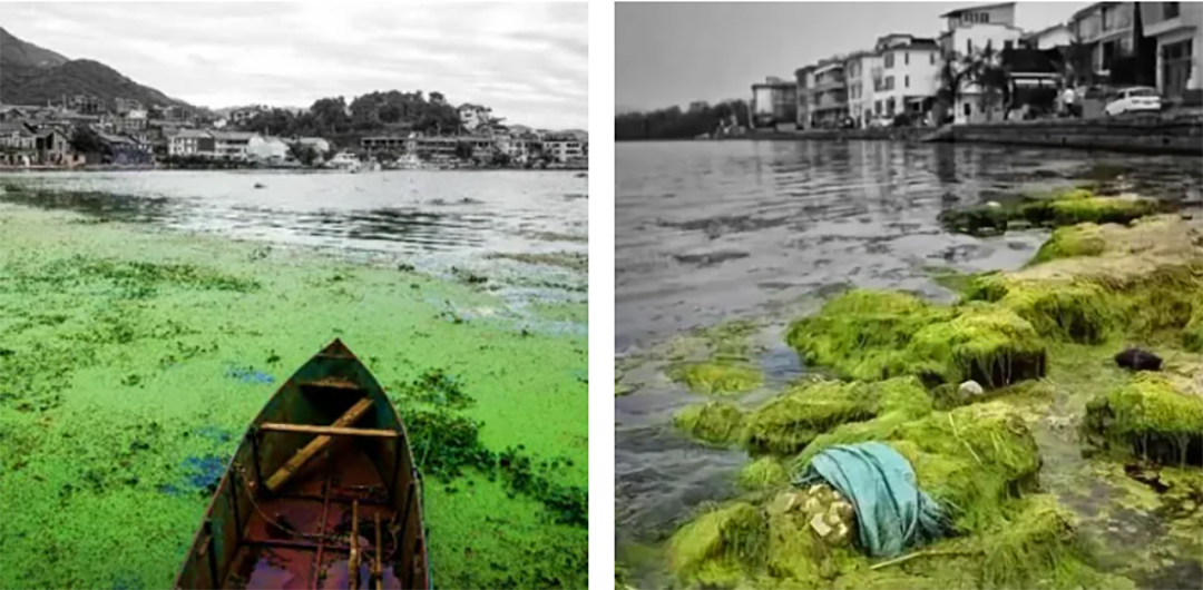 bNzo8m7NNSPJGV8n9gmQrdlDnc8Mmoz3BJRrPvy1