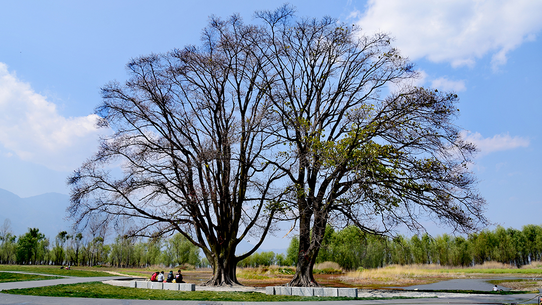 mS6neOo2WFamROVstDtQ3jNAujReed3u9PNQWC5L