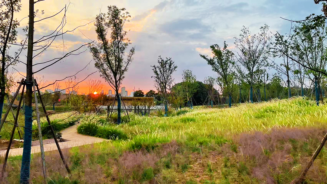 nf6hMP6GHhh5wmPPDdJzGKfp2s3c8p3sp155hTZN