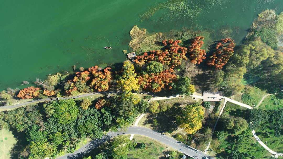 9DtM6IwikLimTNQudQBLChOWPYkyw0qb4gm73ljV