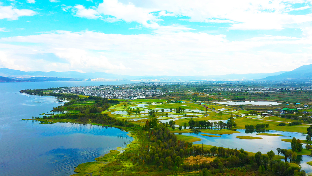 hlqRsSeWwGmbM91IULIpjmsszqFSOytSw0i1NzyB