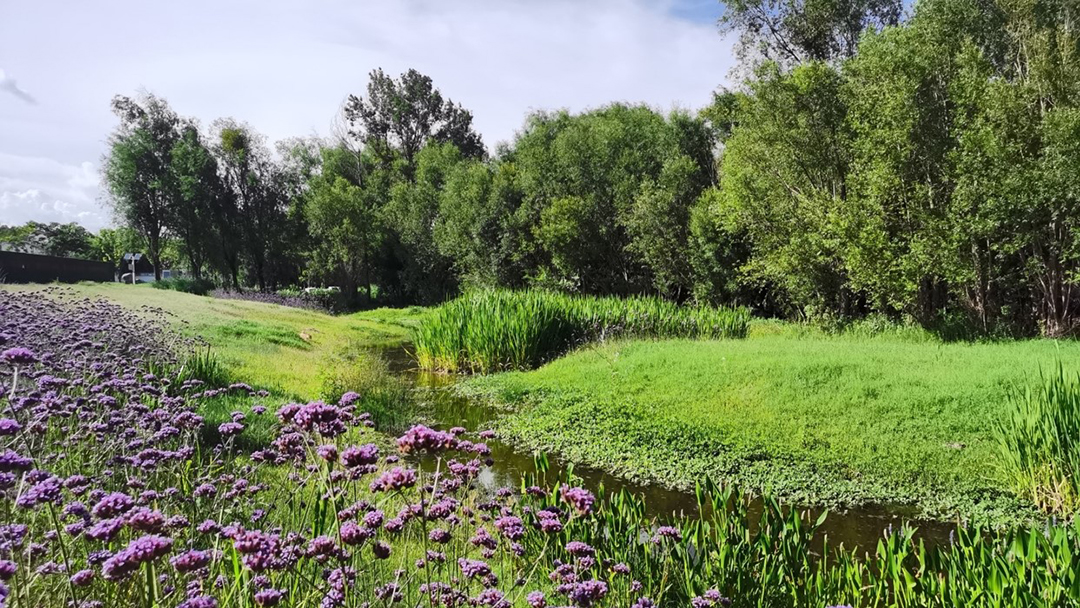 l7jhO92WOhmL90NZSf54iUsGYAkXdGBBLADYJgds