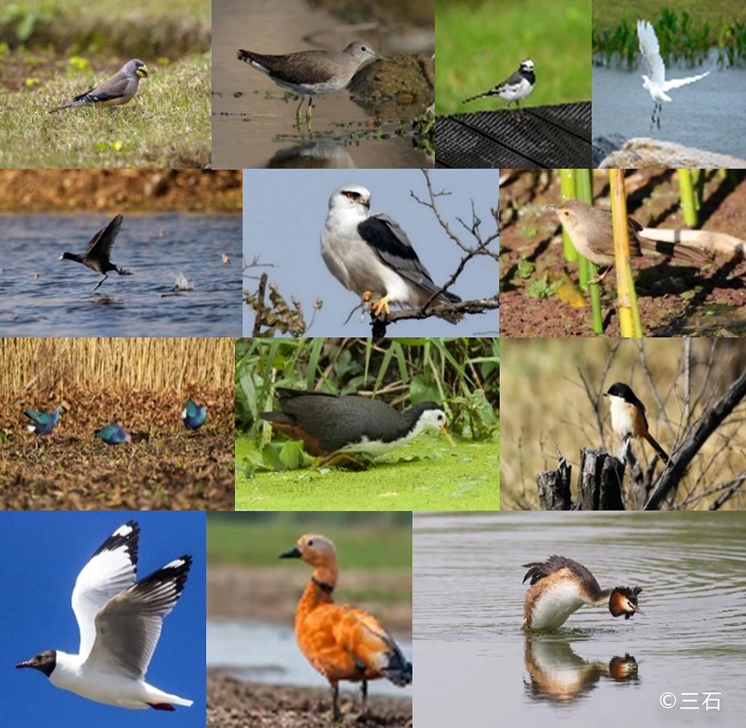 rYLHLpaEFliSzX1zWBEdXiZYPHZc9mlQj0oomoWS