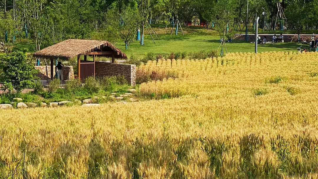 ShBRbXMWhoohxkstQTZpIkN2bXF5p8GEHNODfZ8x