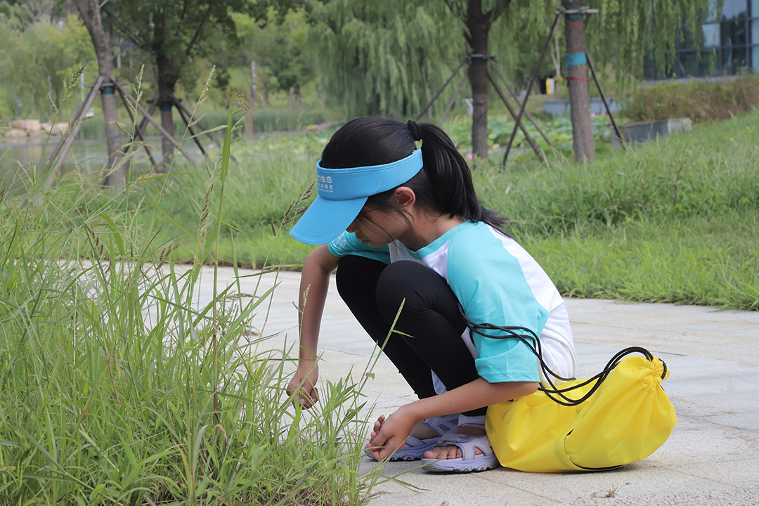 wZ7Of50moHl8q1jtOgdX7gtVgBZPwCmVfQhOrPNS