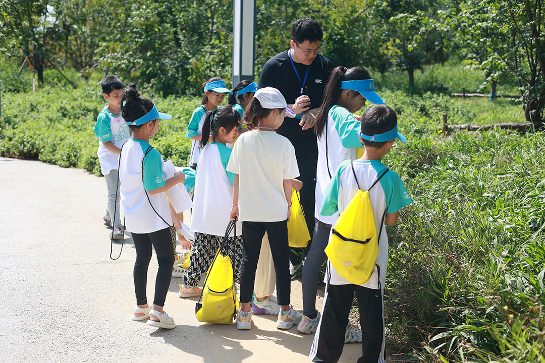 2FupYRmMGwIA0UPq98iZxjSnNb8DWb6gYAOh0OFy