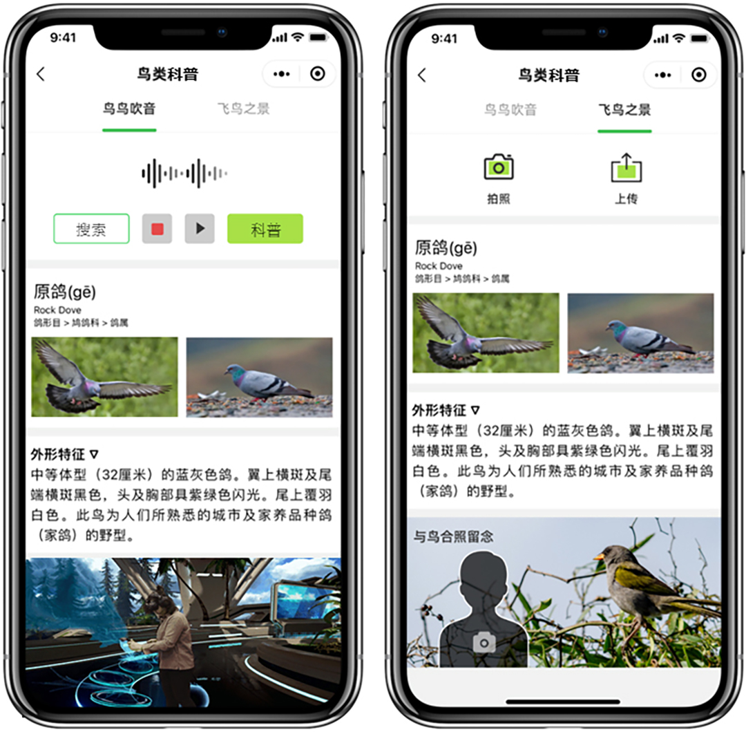 FXDQb8vkDAJh8GMoJlvy9RCLOBqqQw1LakXVokT4