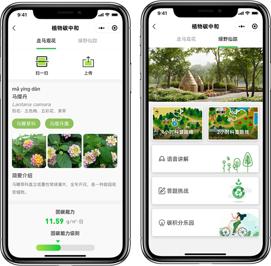 LQrerEMPGezLbwVjGQY1JLH8wIqYyFXU1lZ0Y5xs