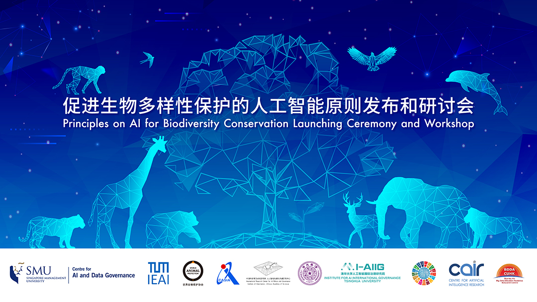 fWhpwurvxIPbdG19yMYouvBM6NEdZrN88B7mkBJR