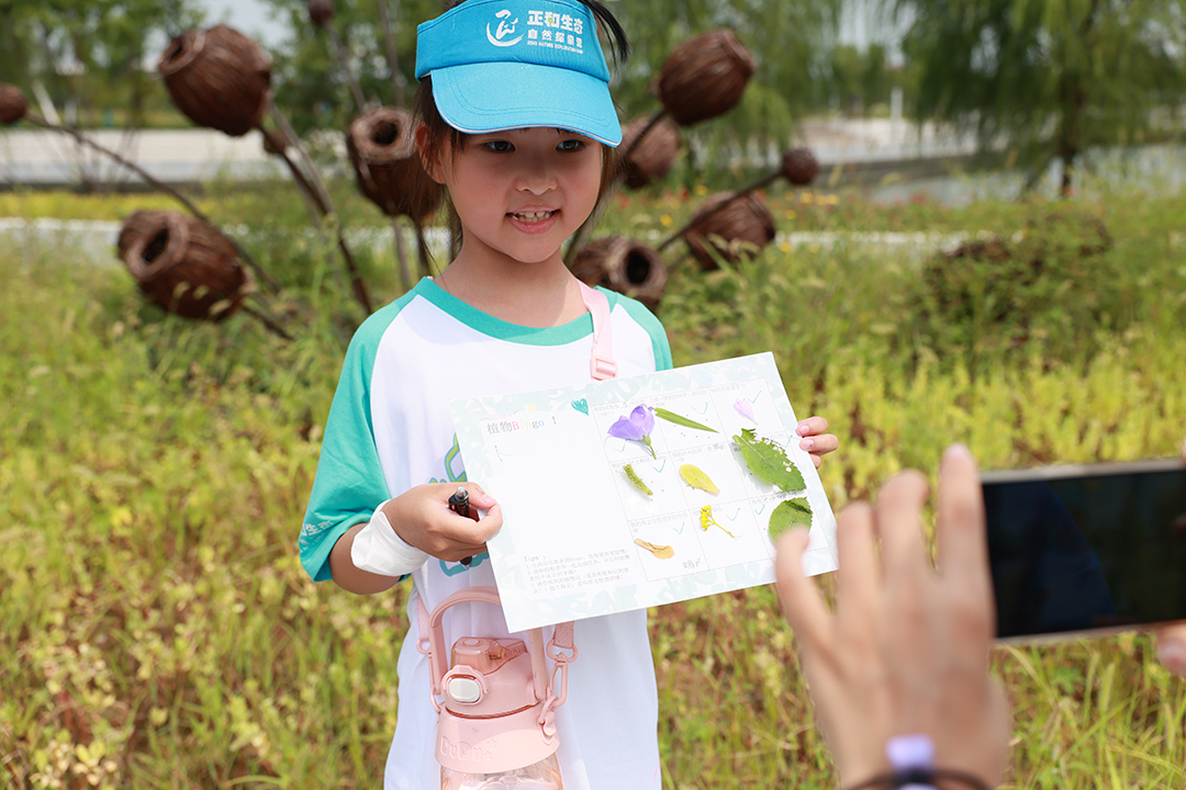 IPpigbtdiCAq8KJcif8cFHfSAB8RYAUH7D4StYMs