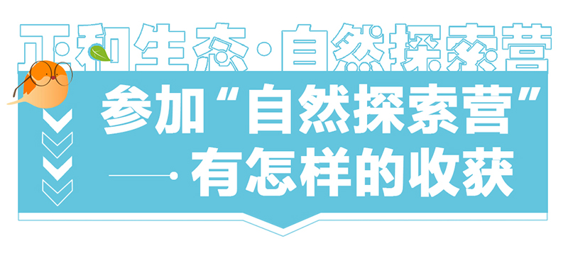 Mu0kL0dh4CD0qQD18HMO3Uiyh9UILWUnAUNvgfZO