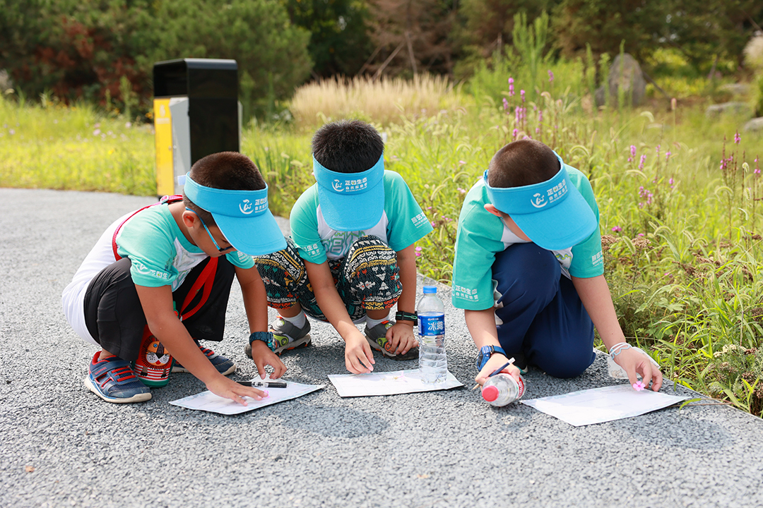 VUsm34vAeL2dfeDwYUmOfg2YvsdPyEU13LdvZaSg