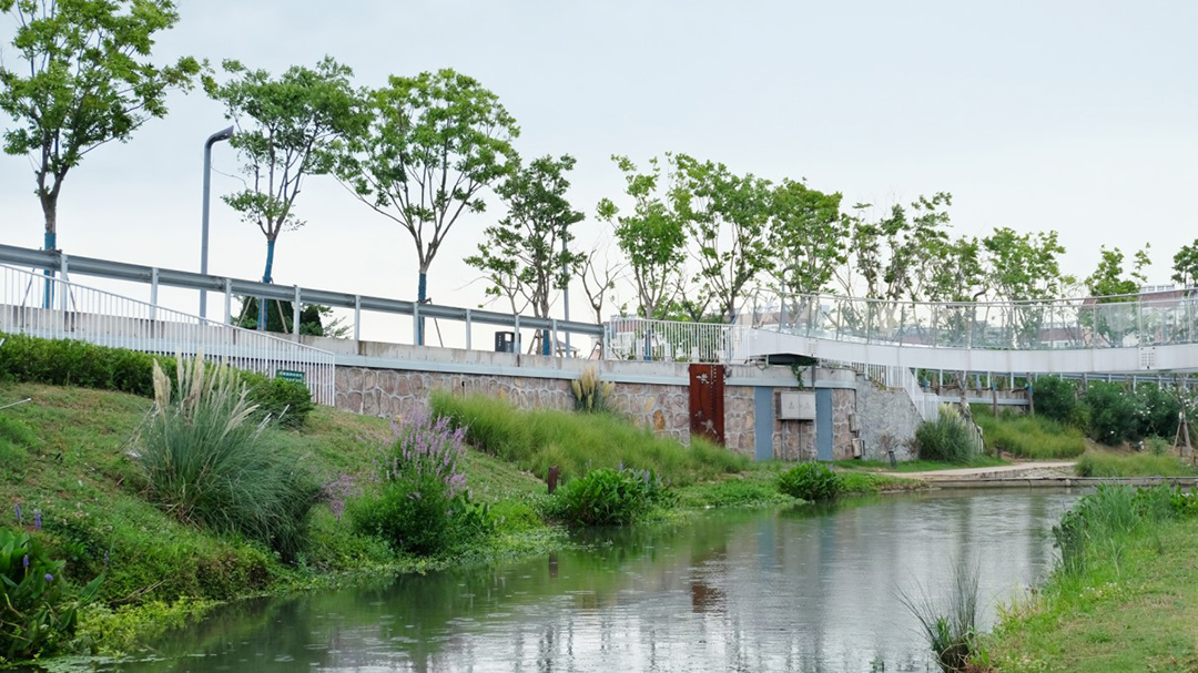 3rS5h11q6lsRye8SwmrpRZMIDuZuPw00Pj8DtDmx