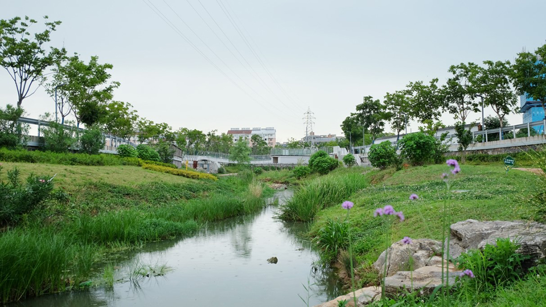 SzTi5oBoJFwqwwWzWJP6YT0bvUsMugjndZB6yxis