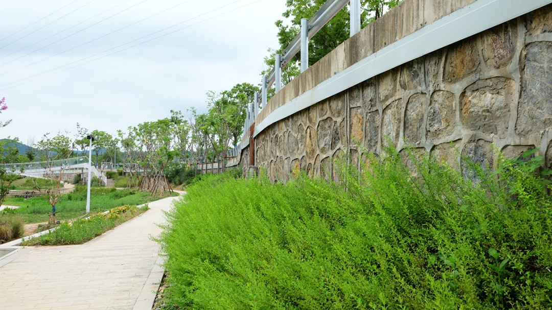 VJps5iMlhT4jYe8ujzSpDVvtJu7o6TNRcUd1ULC8