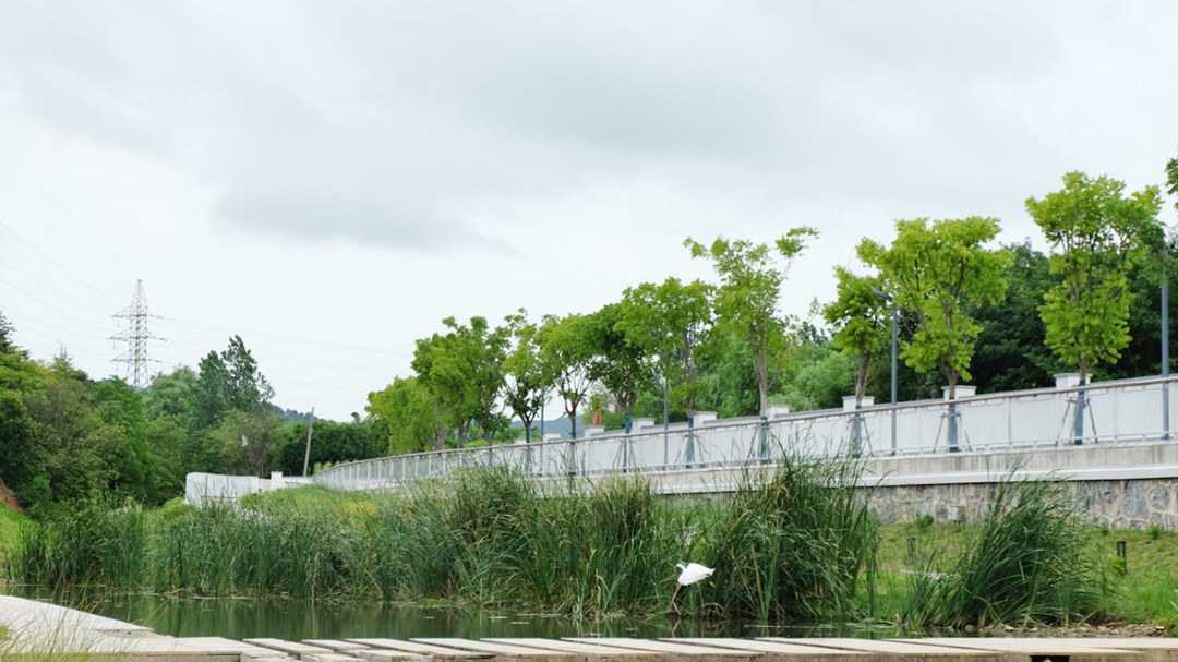 iQeEt5cuqVUhExeNHZFJUoVurQy9EgR590kMYorg