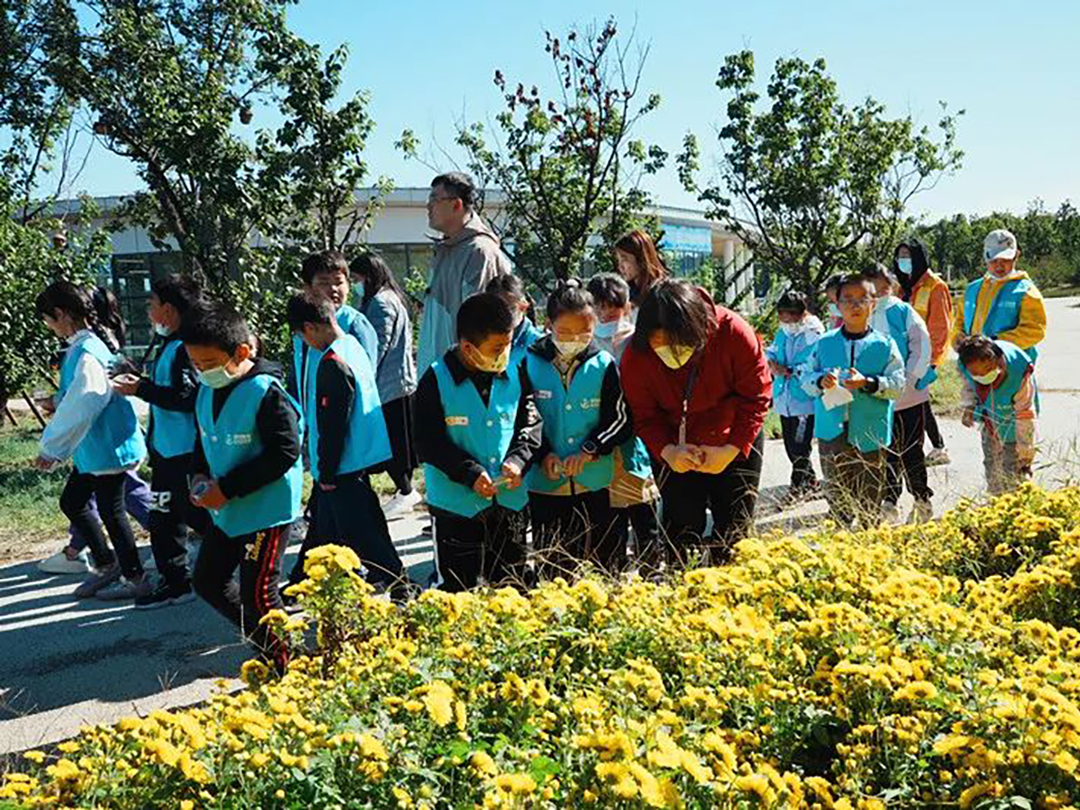 6elhp65UJv4qbQGO7lcqdovlrkofrOrEugBttM2z