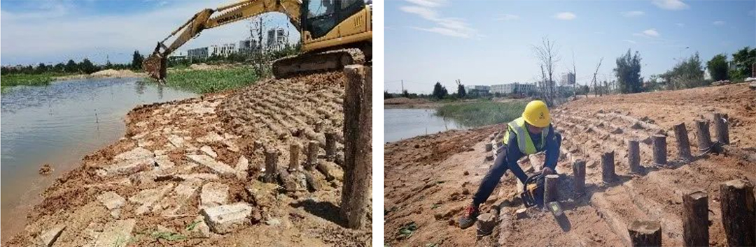 KP2wVEc282U4CTRMZ5PeseeTvcVtgwFcckSQET9C